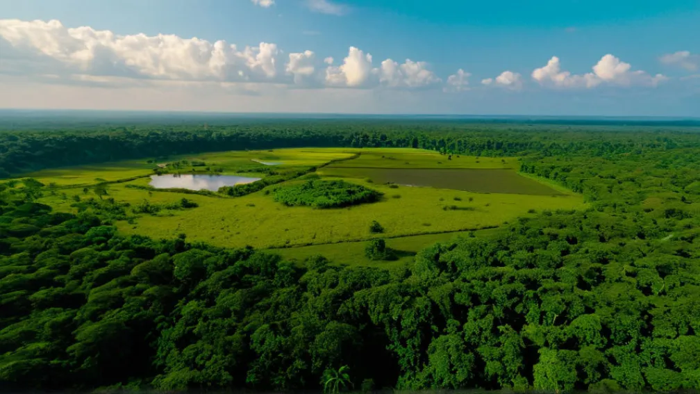 Индийский миллиардер создал крупнейший в мире частный зоопарк Vantara: вопросы об источниках животных