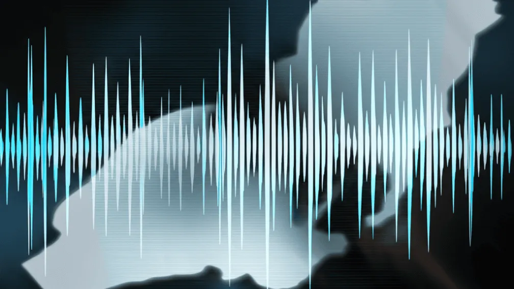 «Клонированные голоса и фейковые новости: поддельный выпуск новостей RFI, распространяемый в интернете, вызывает волнения в Демократической Республике Конго»