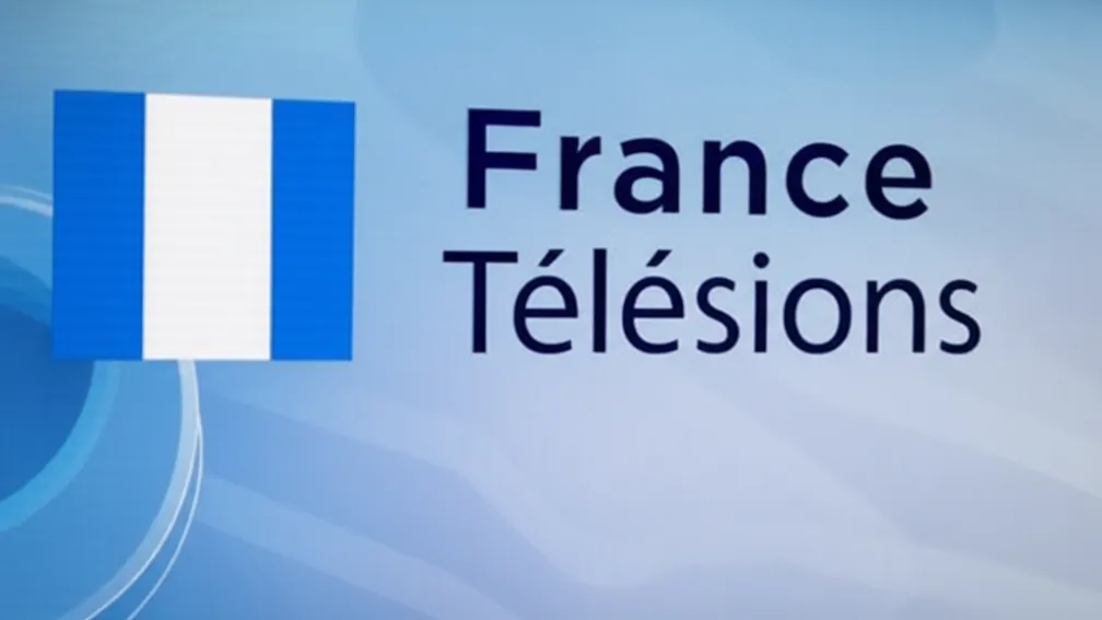 Дельфин Эрнотт баллотируется на третий срок на пост главы France Télévisions