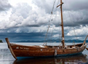 "Flow": Кошачья одиссея в затопленном мире. Обзор анимационного шедевра без единого слова.