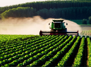 Искусственный интеллект в сельском хозяйстве