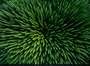 Амазония на грани климатической катастрофы: ученые бьют тревогу