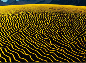 COP30: Бразильское Движение Против Ископаемого Топлива Выходит на Улицы