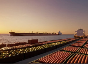 Трамп отменил пошлины на бразильский экспорт: победа Лулы и облегчение для экономики