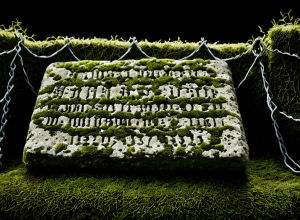 Забытый геноцид и современная дискриминация: почему память о ромах — оружие против расизма