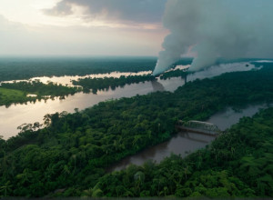 Коренное население и афробразильцы Баренкарена борются с западными корпорациями за свои земли
