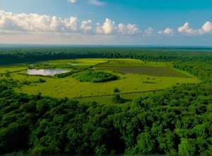 Индийский миллиардер создал крупнейший в мире частный зоопарк Vantara: вопросы об источниках животных