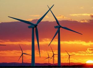 На COP30 обсуждают отказ от ископаемого топлива: Бразилия призывает к дорожным картам