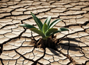 Новые климатические обязательства стран ставят под угрозу Парижское соглашение