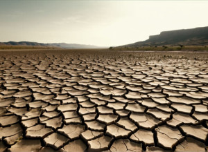 Сирия сталкивается с беспрецедентной засухой: угроза голода и экономический кризис