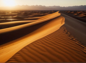 ООН приняла резолюцию по Западной Сахаре на фоне протестов в Марокко