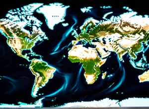 Дипломатические разногласия в администрации Трампа: Рубио против Вэнса на фоне украинских мирных переговоров