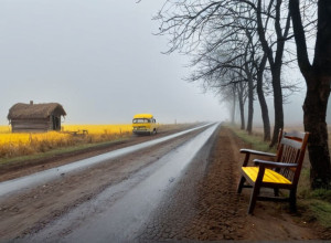 Жизнь у линии фронта: 78-летняя жительница украинского села ждет фургон