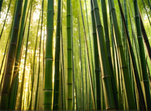 Дипломатия панд: Франция и Китай укрепляют отношения на фоне разногласий