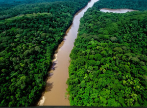 Золотая лихорадка в Гвиане: Тысячи нелегальных старателей разрушают природу