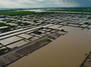 Наводнения в Азии: почти 1000 жертв, армия развернута в Индонезии и Шри-Ланке