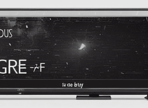ТВ рейтинги: TF1 лидирует, France 2 теряет позиции