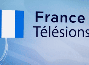 Дельфин Эрнотт баллотируется на третий срок на пост главы France Télévisions