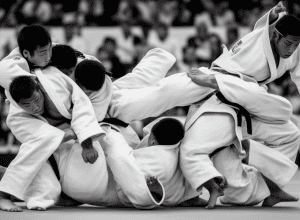 Французское дзюдо: разногласия из-за реформы командного чемпионата