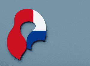 Бюджет 2026: почему маловероятен референдум, предложенный Франсуа Байру?