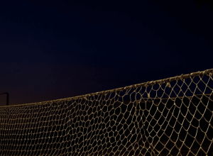 Ослабление социального государства ведет к росту ультраправого популизма: доклад ООН