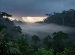 Колумбия: В результате авиаударов армии погибли 19 повстанцев-диссидентов FARC