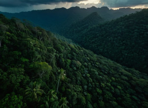 Скандал в Колумбии: Авиаудар по группе с несовершеннолетними вызывает критику президента Петро