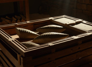 Спасение тысячелетних артефактов в Газе: Борьба за историю в условиях конфликта