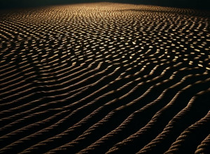 Скандальные связи: "GUD-связь" вновь омрачает имидж "Национального объединения" во Франции