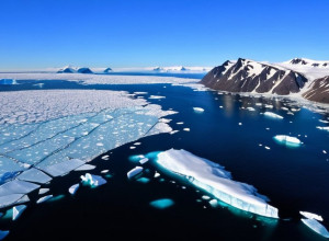 Гренландия: последняя информация и реакция