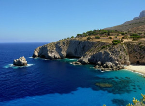 Коровы-звери на островах: проблема со стадами