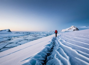 США: Дональд Трамп заявил, что больше не будет 'чувствовать себя обязанным мыслить исключительно о мире мира'