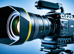 Новости дня