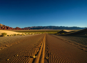 Рено, небольшая городка в Неваде, привыкла жить под Дональдом Трампом