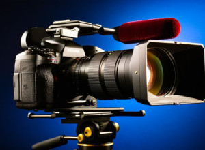 Новости дня