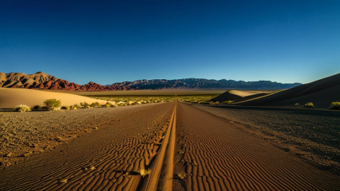 Рено, небольшая городка в Неваде, привыкла жить под Дональдом Трампом
