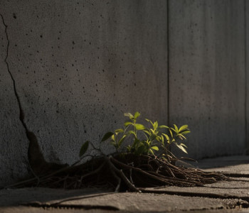 Александра Попова борется за жизнь мужа: история жены политзаключенного Камардина в Москве