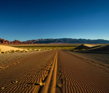 Рено, небольшая городка в Неваде, привыкла жить под Дональдом Трампом