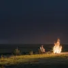 Коричневый сахар: Действительно ли он полезнее белого? Нутрициолог развенчивает миф