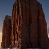 Том Круз поразил фанатов идеальной формой на фотоколле в Каннах