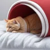 Авиакатастрофа в Индии: что могло стать причиной крушения Boeing Air India?