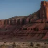 Школа на юге Франции закрылась из-за нашествия азиатских шершней