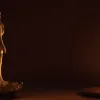 Новый мэр избран в Ла-Рошели на фоне бойкота оппозиции
