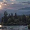 Контент крупнейшего французского телеканала TF1 появится на Netflix