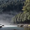 Главные новости дня: Крушение самолета в Индии, трагедия в школе Франции, дело об убийстве Элиаса