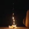 Во Франции завершаются выпускные экзамены Бревет: школьники сдали последние предметы