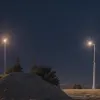 В Индии расследуют массовую гибель тигрицы и четырех тигрят