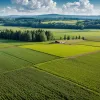 Экологи против фермеров: как спор о пестицидах расколол Францию