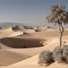 Спецпосланник США встретился с семьями заложников в Тель-Авиве на фоне военных угроз