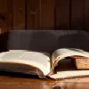 10 главных книг осени: от скандального романа о матери до переосмысления классики